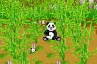 Granja de Panda Granja de Panda