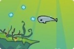 La ballena Austin La ballena Austin