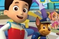 Memoria Paw Patrol Memoria Paw Patrol