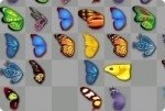 Une mariposas Une mariposas