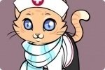 Viste a la gatita Viste a la gatita