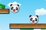 Amigos panda