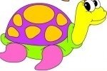 Colorea las tortugas